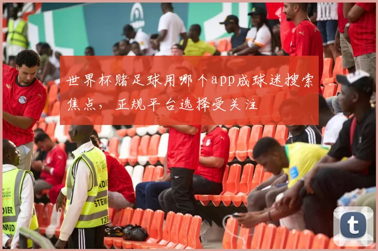 世界杯赌足球用哪个app成球迷搜索焦点，正规平台选择受关注