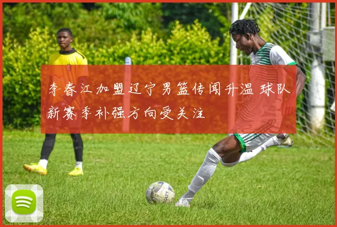 李春江加盟辽宁男篮传闻升温 球队新赛季补强方向受关注