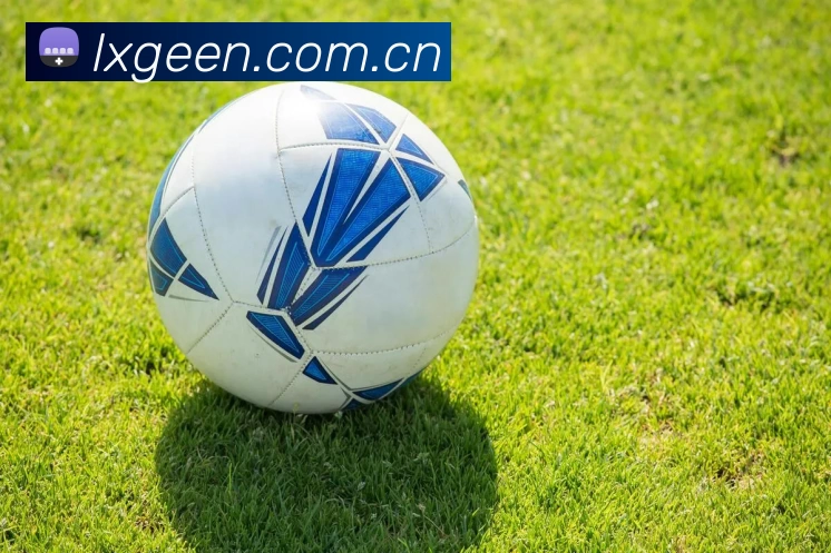 滚球官网appAPP 体育赛事宣传图